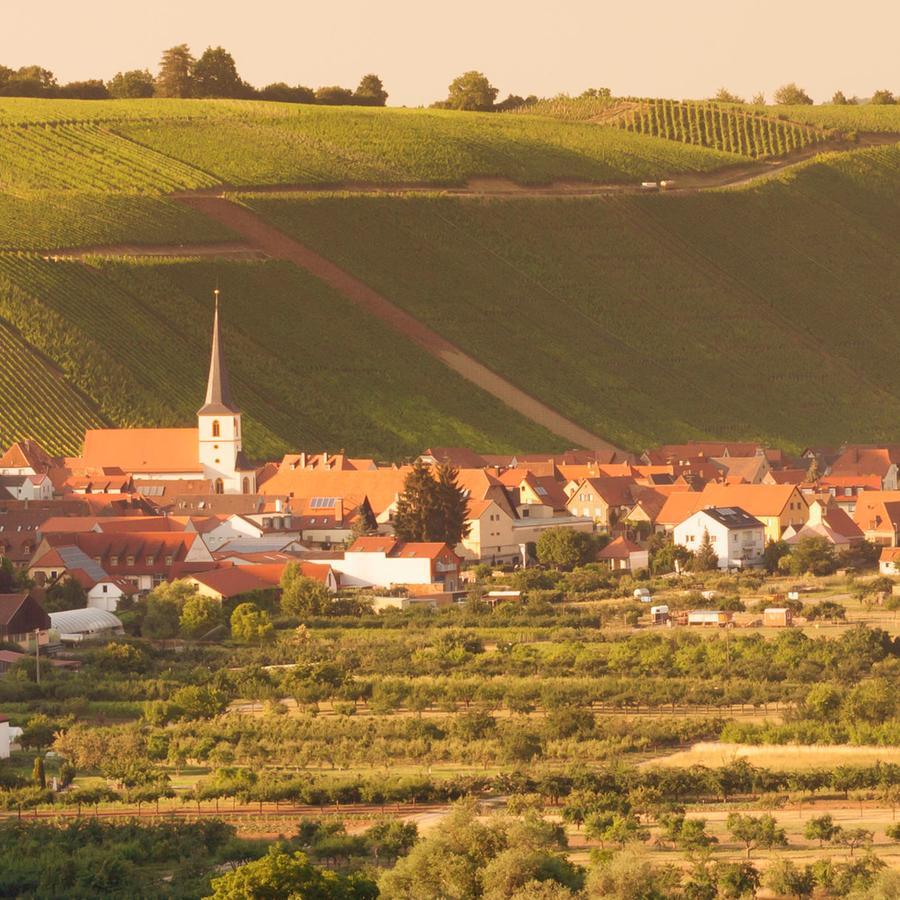 Hotel Domizil Nunn Escherndorf Exteriér fotografie